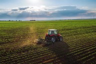 Día Mundial de la Agricultura 2025: sembrando futuro con dignidad y sostenibilidad