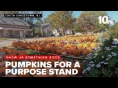 Church sells 6,000 pumpkins to benefit struggling families in South County