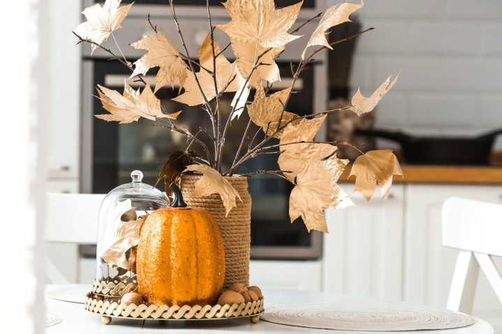 Find inspiration and advice at the 2025 Fall Home Show