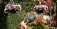 Waterloo Region Record morning update for Sept 9