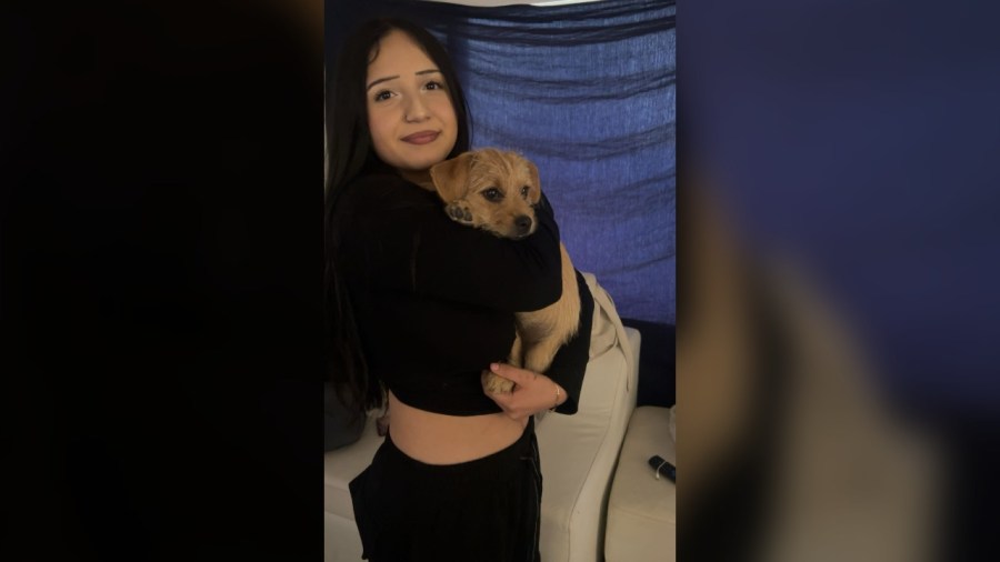 Fort Collins police searching for missing 13