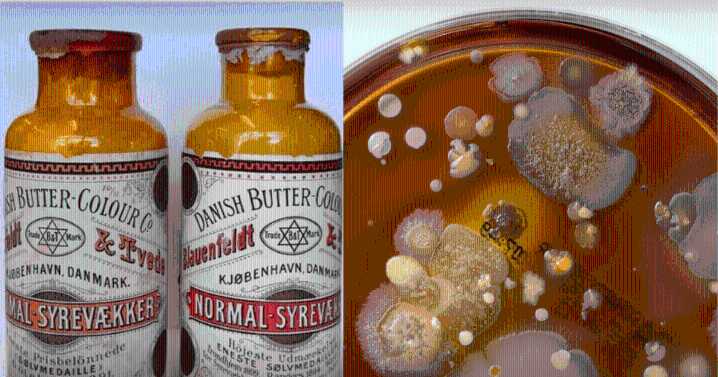 Científicos descubren microbios de hace 130 años dentro de antiguos frascos de mantequilla: ¿son peligrosos?