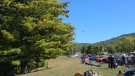 Small plane makes emergency landing at Lime Rock Park