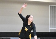 High school volleyball notebook: Brownsville's Skyler Gates racks up points all over the court