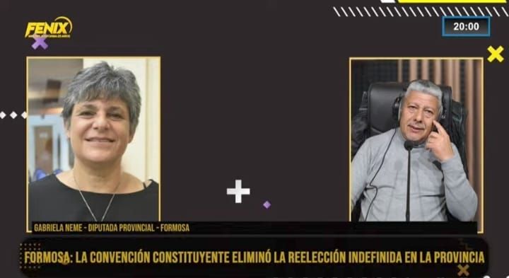 Gabriela Neme: “La reforma le permite a Insfrán seguir gobernando a discreción”