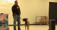 Deputy, K-9 shot in Tremonton visit students who sent messages of support