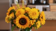 Dónde colocar flores amarillas en tu casa para atraer alegría y optimismo, según el Feng Shui