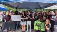 'Captured agency' claims hit Florida wildlife commission