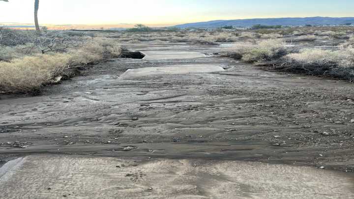 Oasis of Mara Trail in Joshua Tree closed after flood…