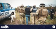 Desbaratan una banda dedicada a la venta ilegal de ganado en el norte de Córdoba