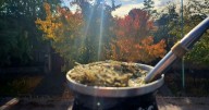 Ideal para unos mates al solcito: así estará el tiempo hoy viernes en Salta