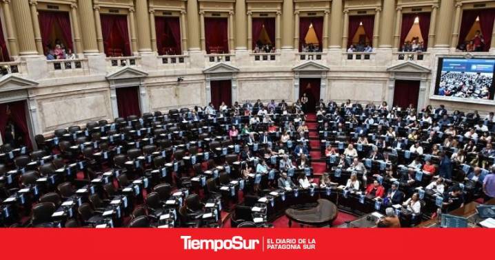 Congreso Como votaron los santacruceños: Diputados rechazaron el veto a la Ley de Financiamiento Universitario y salarios docentes