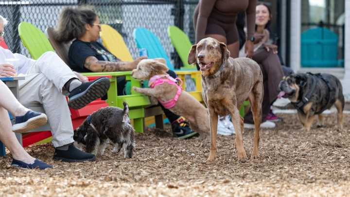 Barkside's second location to open in Southfield on Saturday