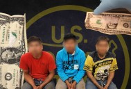 Illegal aliens arrested in targeted operation near Black Duck, MN