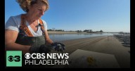 N.J. oyster farmer, longtime chef among honorees at annual dinner for women in the food industry
