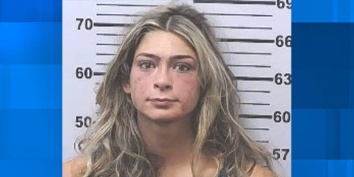 Arrest report: Intoxicated South Alabama student bit officer