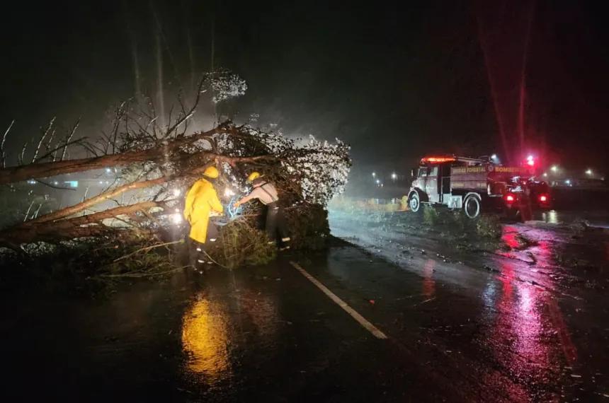 Los daños que dejó la fuerte tormenta en General Pico
