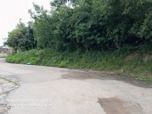 Palpable desatención oficial en La Isabelica: Serpientes y roedores conviven en la maleza en varios sectores