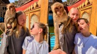 Monkey Photobombs Foreigners’ Picture-Perfect Moment In Jaipur. You Have To See This