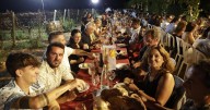 Más de 500 personas degustan los ‘fideus des vermar’ en las viñas de José L. Ferrer