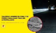 Galerías: hombre está en coma y su perro paralizado tras ser atropellados