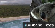 Inside the Great Koala National Park