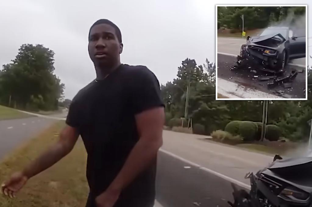 Illinois motorist purposely drives car into police cruiser during traffic stop