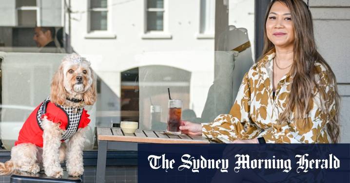 $1000 a month on treats and treatments: How spoiling ‘furbabies’ became the new normal