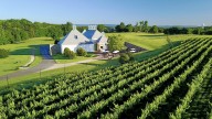 Boxwood Winery in Virginia: Meet the experienced duo behind its success