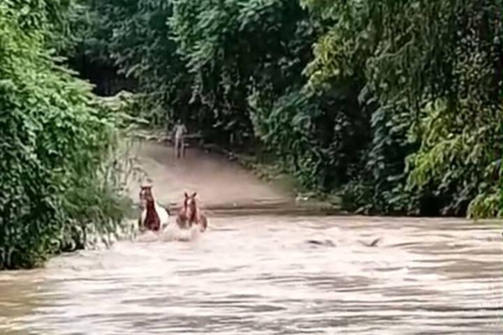 PC de Huejutla llama a extremar precauciones durante la temporada de lluvias