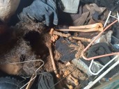 Hallan osamenta humana en una casa de la colonia Hidalgo