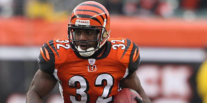 Rudi Johnson Passes Away at 45: NFL Running Back Dies By Suicide (Report) 