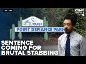 Man to be sentenced for brutal Point Defiance Park stabbing, parkgoers prioritize safety