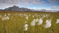 Alaska loses lawsuit that challenged the western boundary of the Arctic National Wildlife Refuge