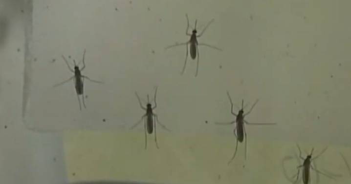 West Nile virus detected in Benton, Yakima, and Grant counties