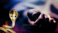 Snake Rescuer Dies Of Snakebite While Performing Stunts With Cobra