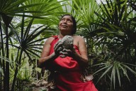 Las ceramistas awajún que resisten a la minería ilegal en la Amazonia peruana