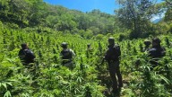 Desarticulan dos bandas delictivas en Ojinaga y Moris