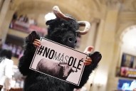 Desde cuándo prohibirán los toros coleados y peleas de gallos: multas y explicación Ley 2385 de 2024