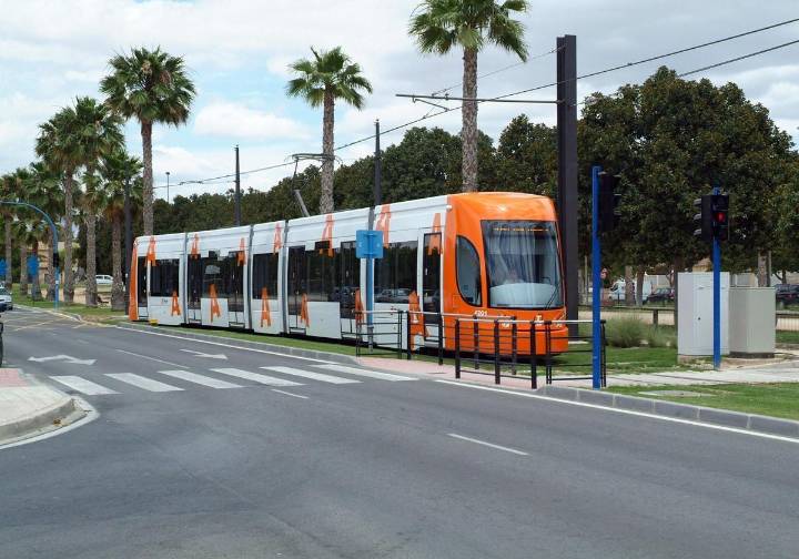 Viajar gratis en el Tram de Alicante: descubre cuándo podrás moverte sin pagar