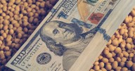 Dólar: los escenarios que se abren tras la liquidación del agro, ¿qué se espera hasta octubre?
