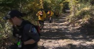 Approximately 100 people now involved in search for missing Alberta boy