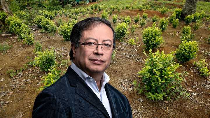 Gustavo Petro quiere volver a la fumigación aérea de cultivos ilícitos. Envión mensaje a la Corte Constitucional