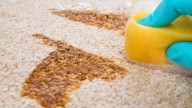 ¿Cómo puedo remover las manchas de grasa y aceite de los tapizados del hogar?