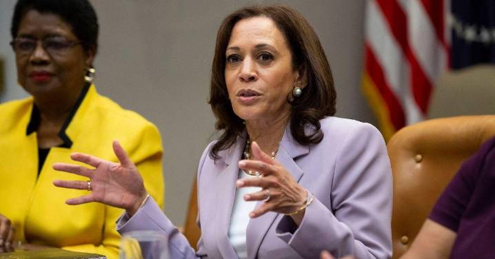 Will Kamala Harris Run for President in 2028? What Her New Tell