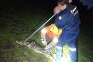 EMERGENCIA! Un yacaré quiso entrar a un hospital de Corrientes (IMÁGENES)
