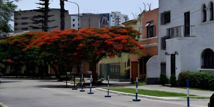 El 19% de las ventas inmobiliarias en Lima Centro ocurre en Santa Beatriz