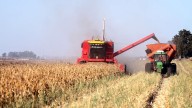 Denuncian que las "retenciones cero" beneficiaron solo a grandes exportadoras El campo en pie de guerra contra el gobierno de Javier Milei y Toto Caputo porque afirman que les regalaron un negocio for