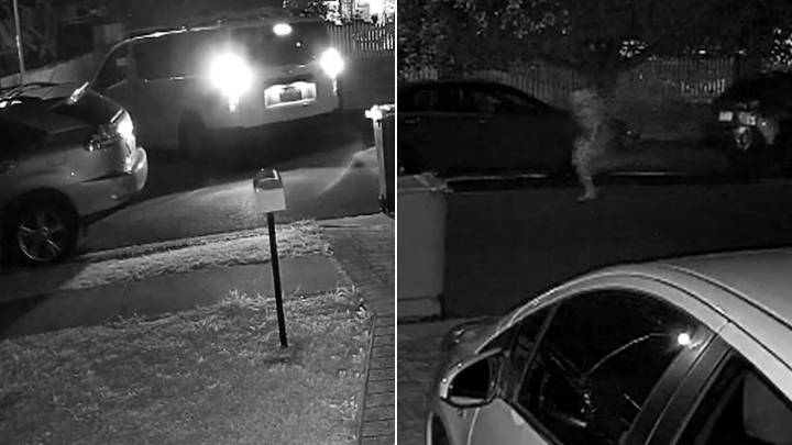 Detectives probe Western Sydney home invasion by group donning police garb
