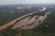 Dangerous Forever Chemicals Found at This State's Beaches